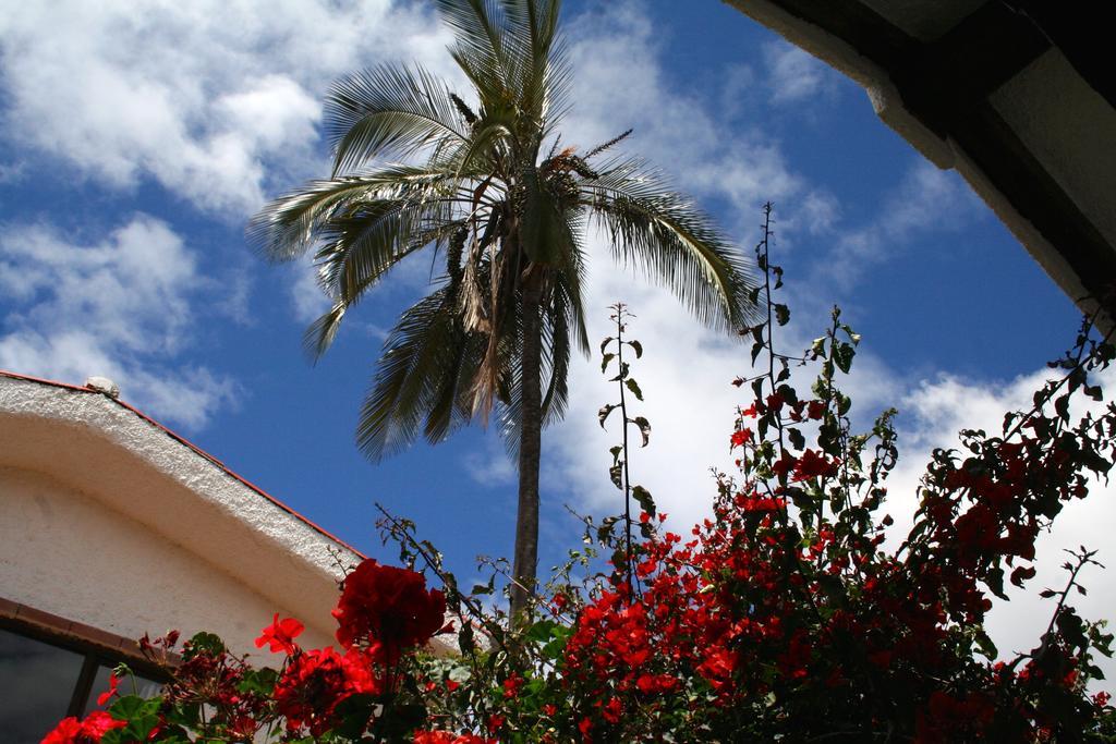 Casa Macondo Bed&Breakfast Cuenca Quarto foto