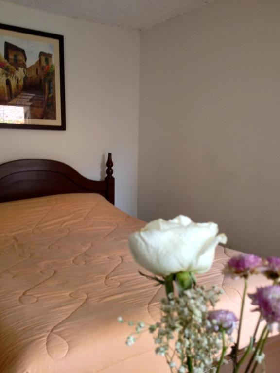 Casa Macondo Bed&Breakfast Cuenca Quarto foto